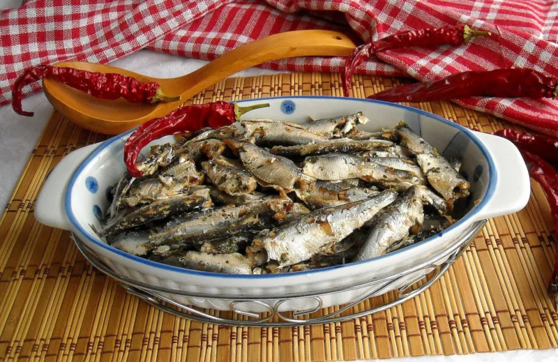 sardine