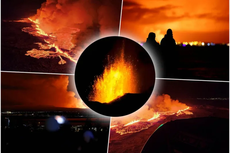 3754416_collage-copy23_ls