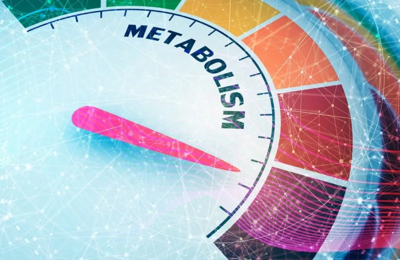 metabolizam