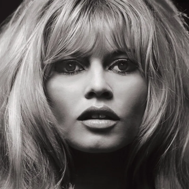 bardot