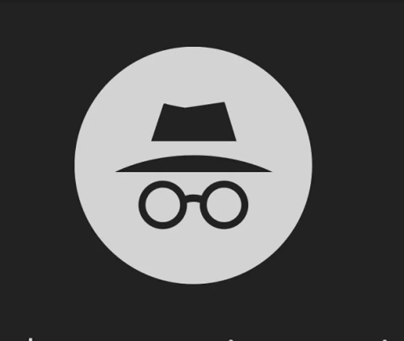 google privatni mod