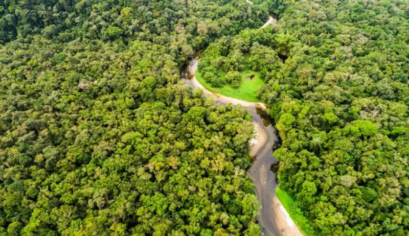 amazonija