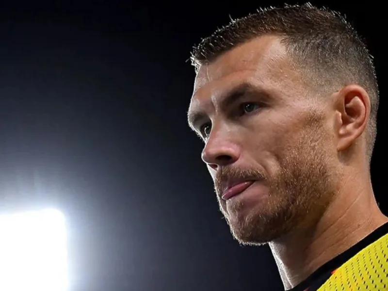 edin-dzeko-fenerbahce7