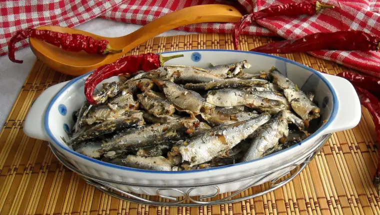 sardine