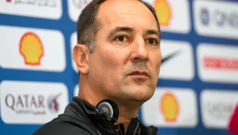 igor stimac