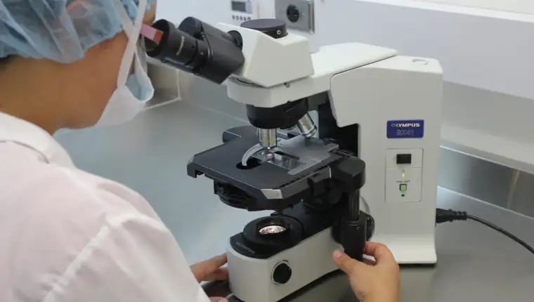 laboratorija