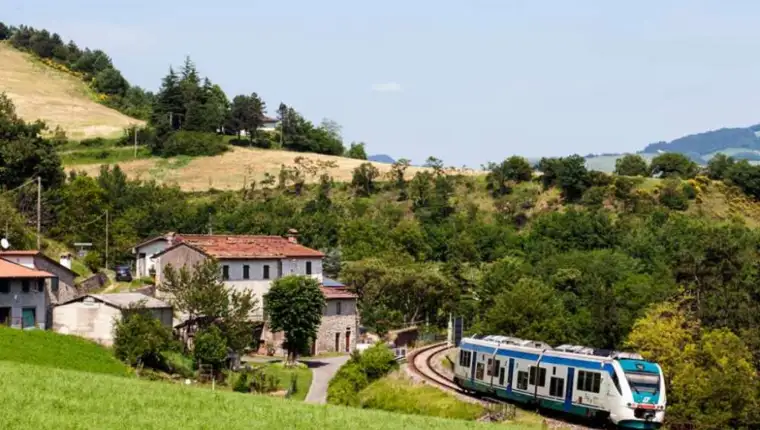 voz
