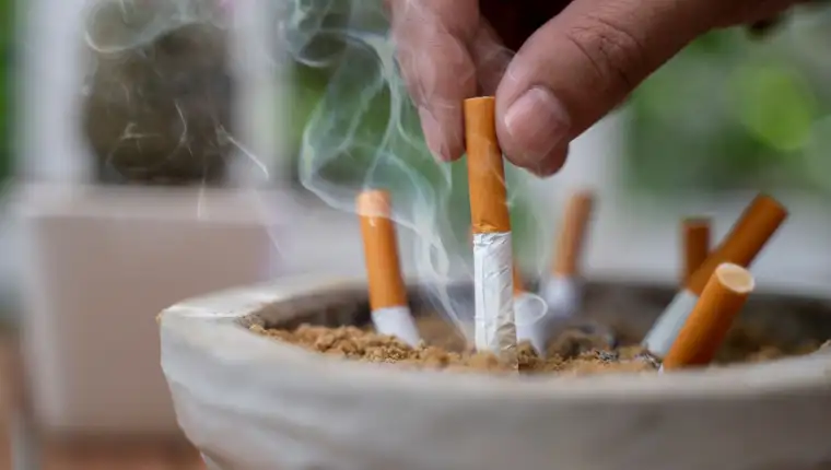 cigare5