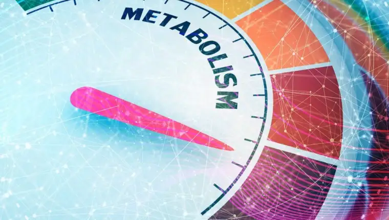 metabolizam