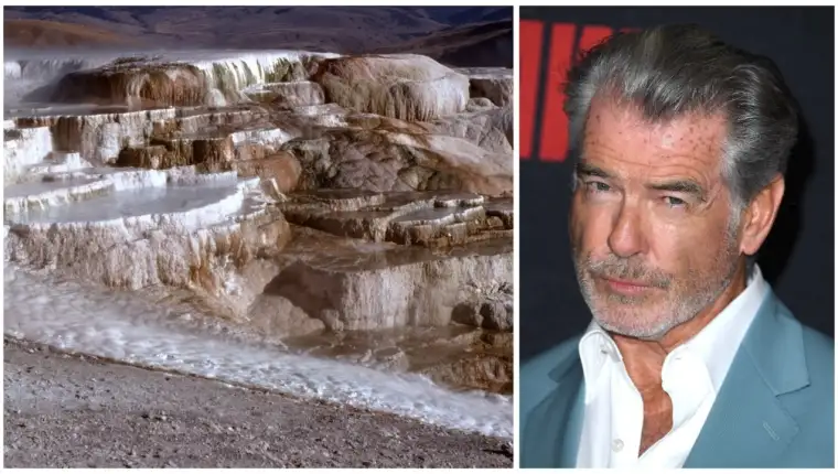 pierce brosnan