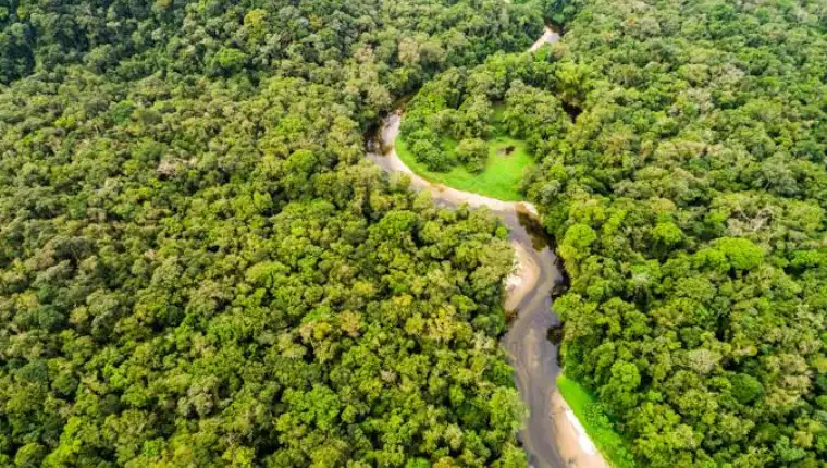 amazonija