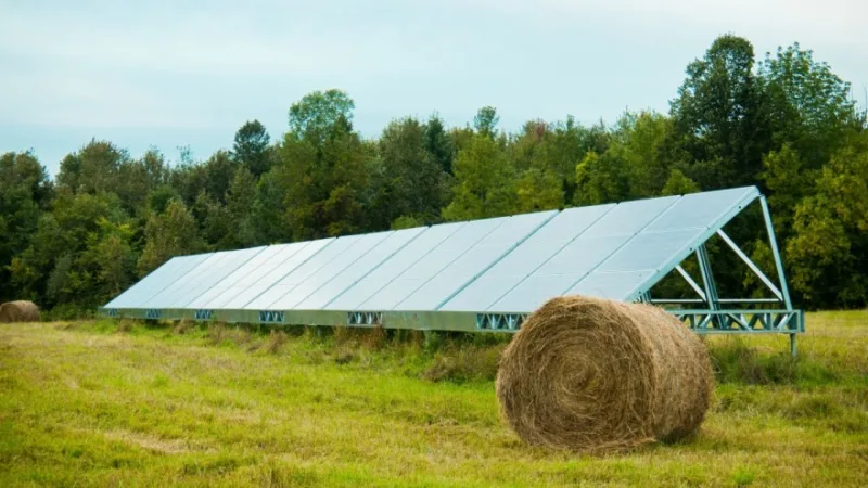 Solar energy panels in a farmer's field