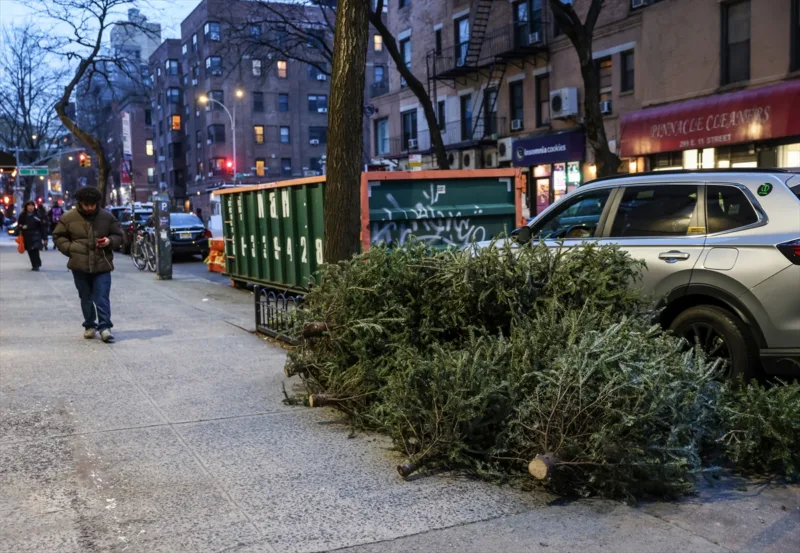 new york jelke (2)
