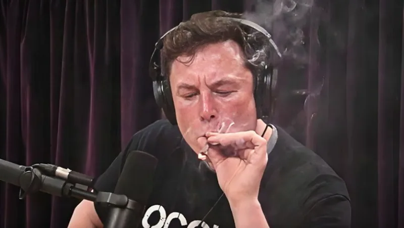 elonmusk