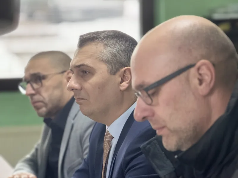 dizdar nerin vlasenica