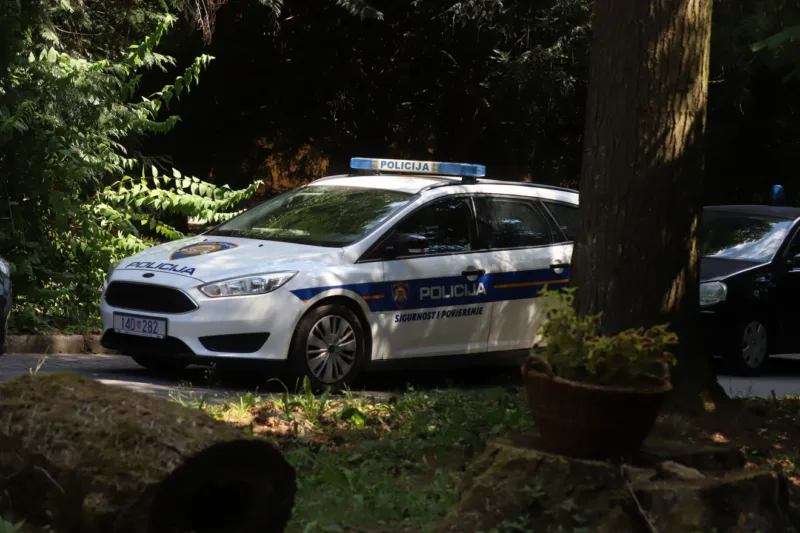 policija