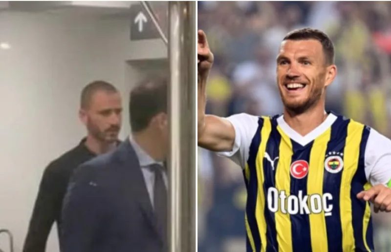 dzerko bonucci 3