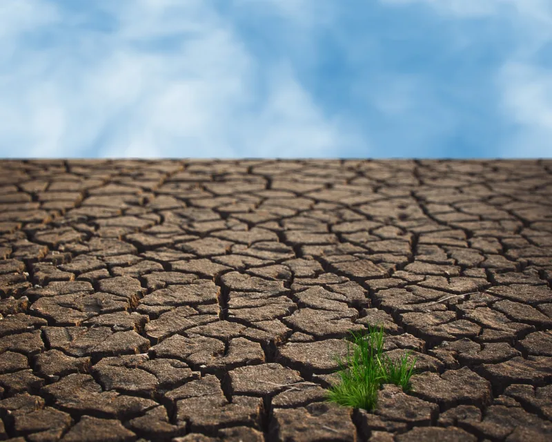vrućina, klima, klimatske promjene