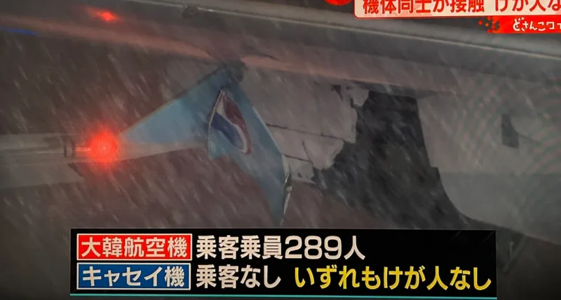 avion japan