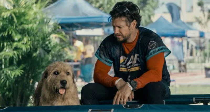 Arthur the King