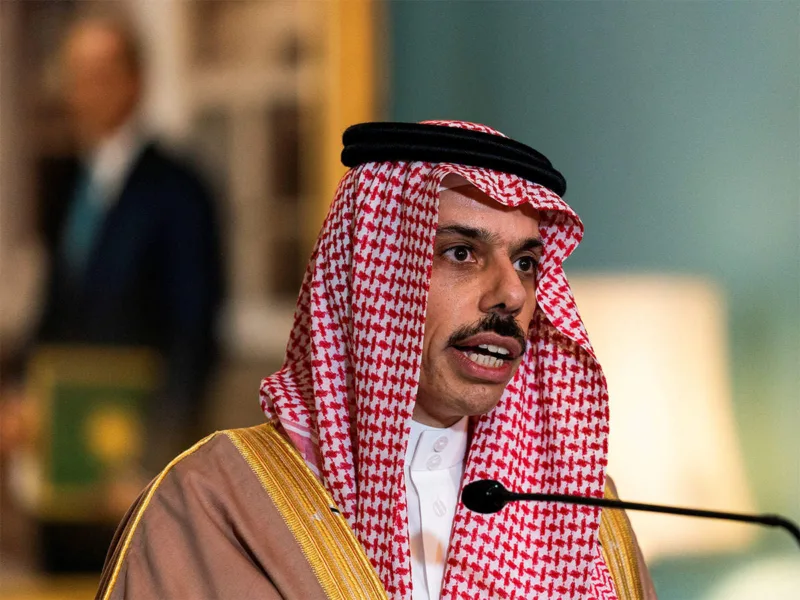 princ Faisal bin Farhan Al-Saud, saudijska arabija