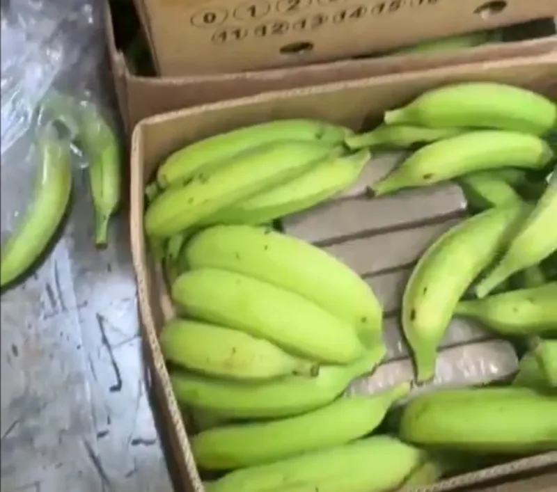 kokain banane