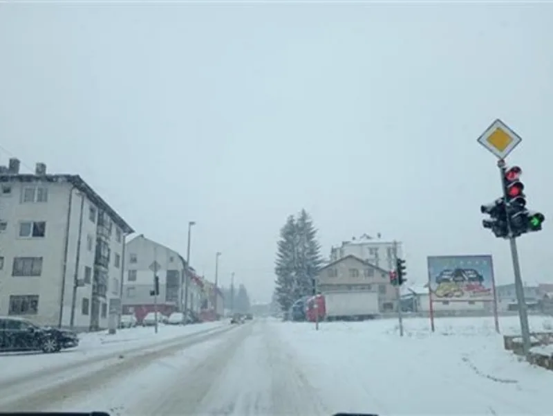 sokolac