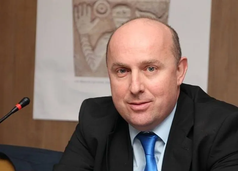 enis hasanović
