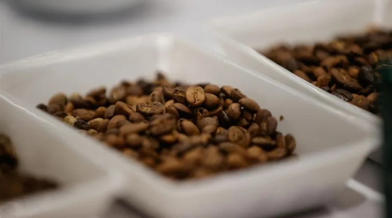 kafa-1