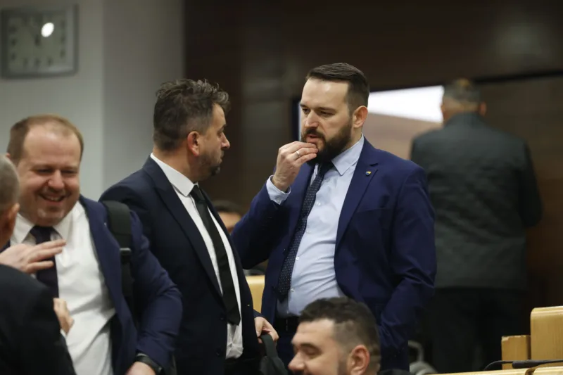 admir cavalic predstavnicki dom fena