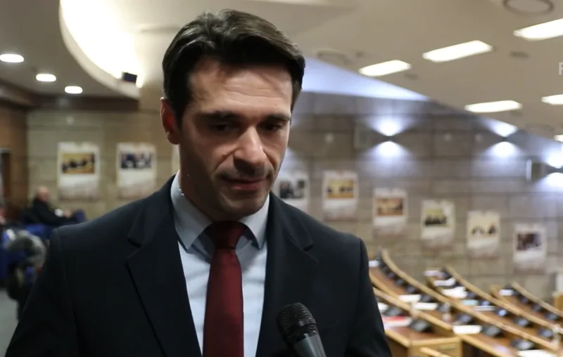 vedran skobic