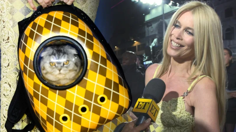 claudia shiffer