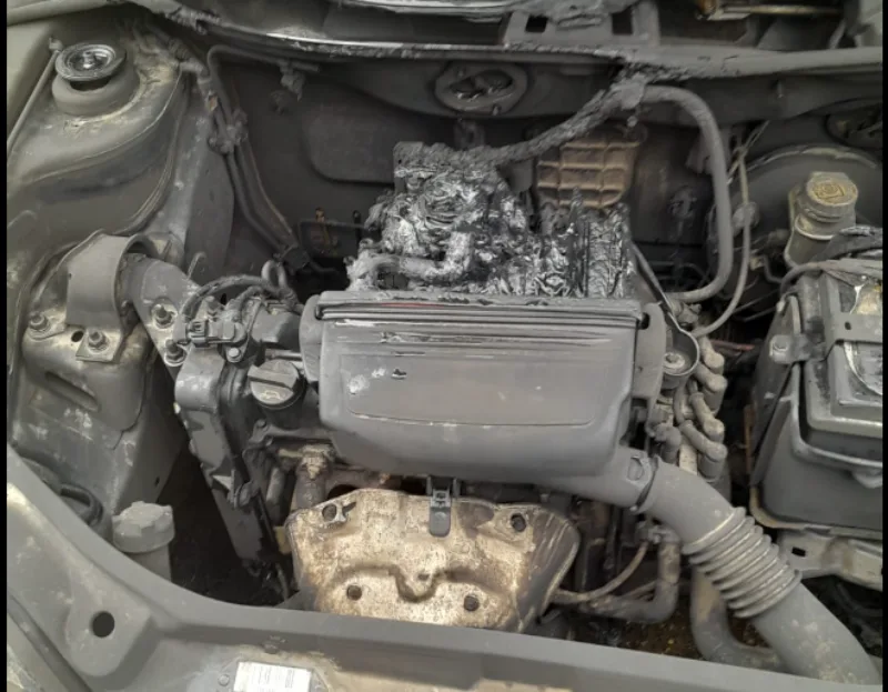 auto gori 4