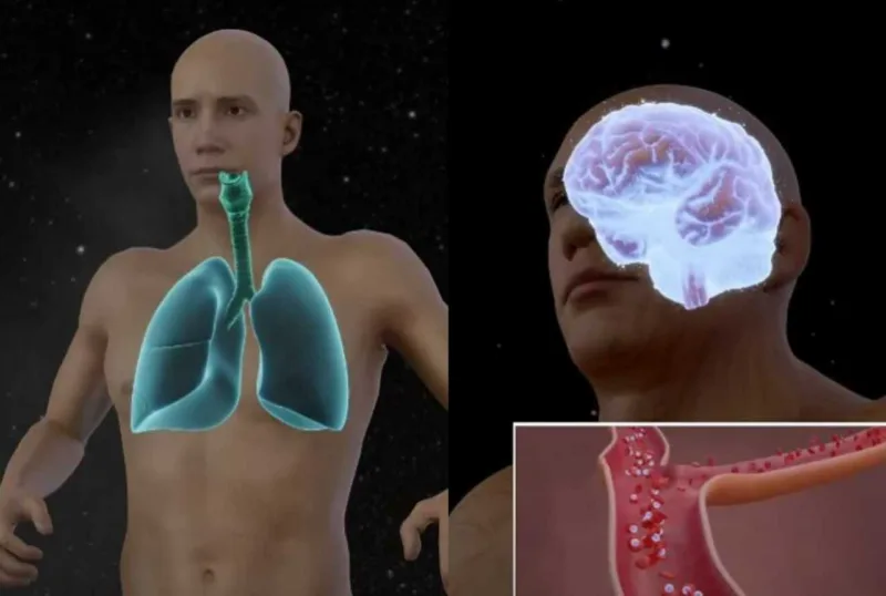 simulacija svemir
