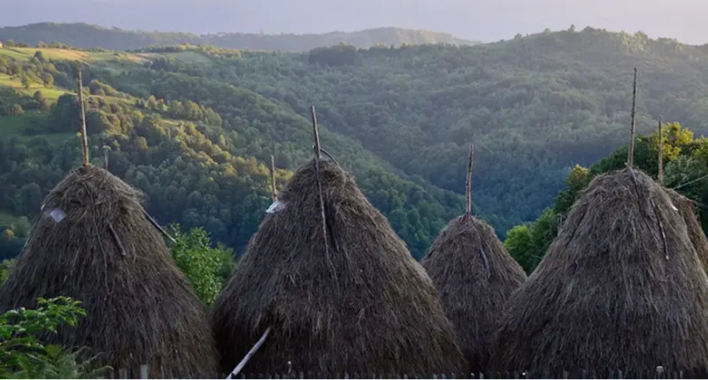 srebrenica