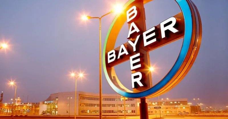 bayer