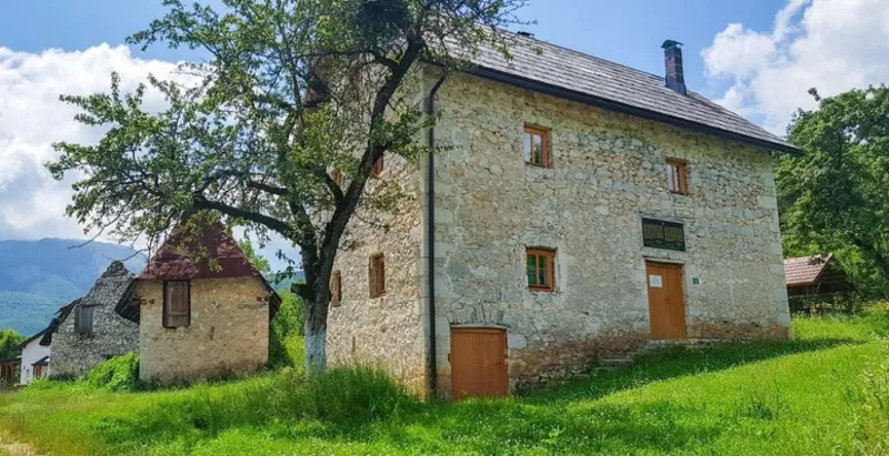 LEDIĆI