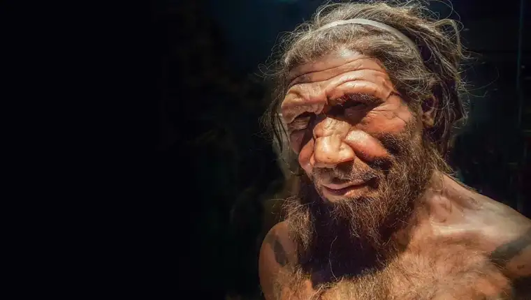 neandertalac