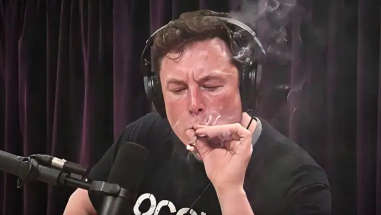 elonmusk