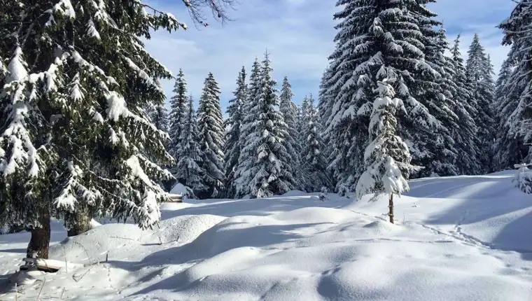 jahorina