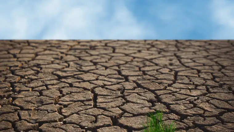 vrućina, klima, klimatske promjene