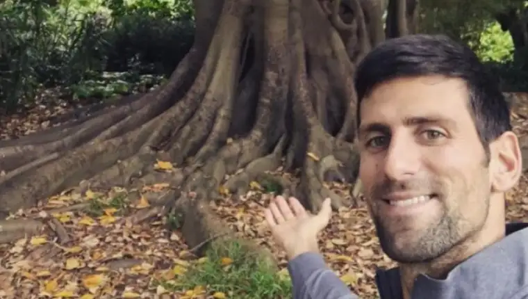 djokovic