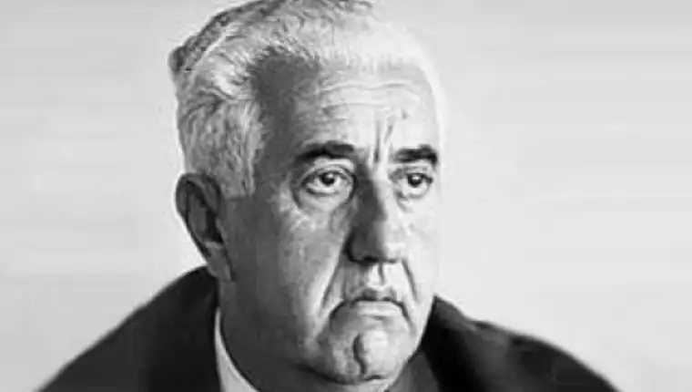 džemal bijedić