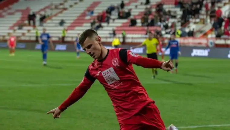nedim hadzic