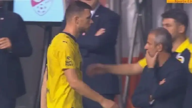 dzeko-kartal