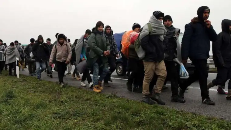 migranti