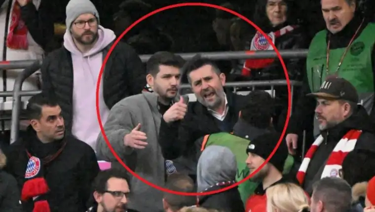 bjelica