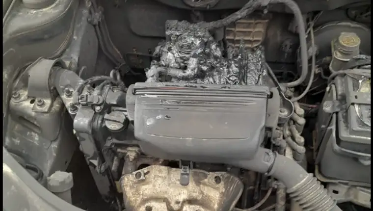 auto gori 4