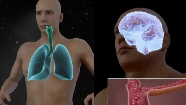 simulacija svemir