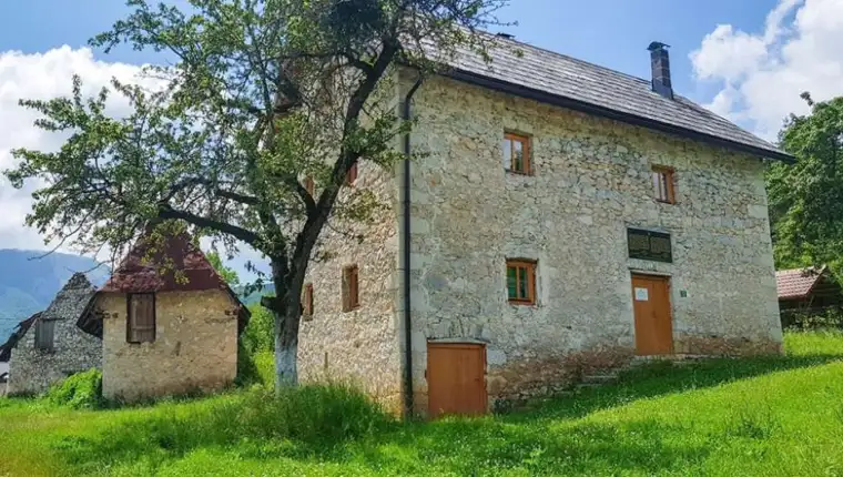 LEDIĆI